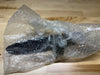 BRAND NEW 1993-1998 Toyota Supra Left Door Handle 69220-14110-B1 Genuine OEM ALPINE SILVER PAINT CODE 199
